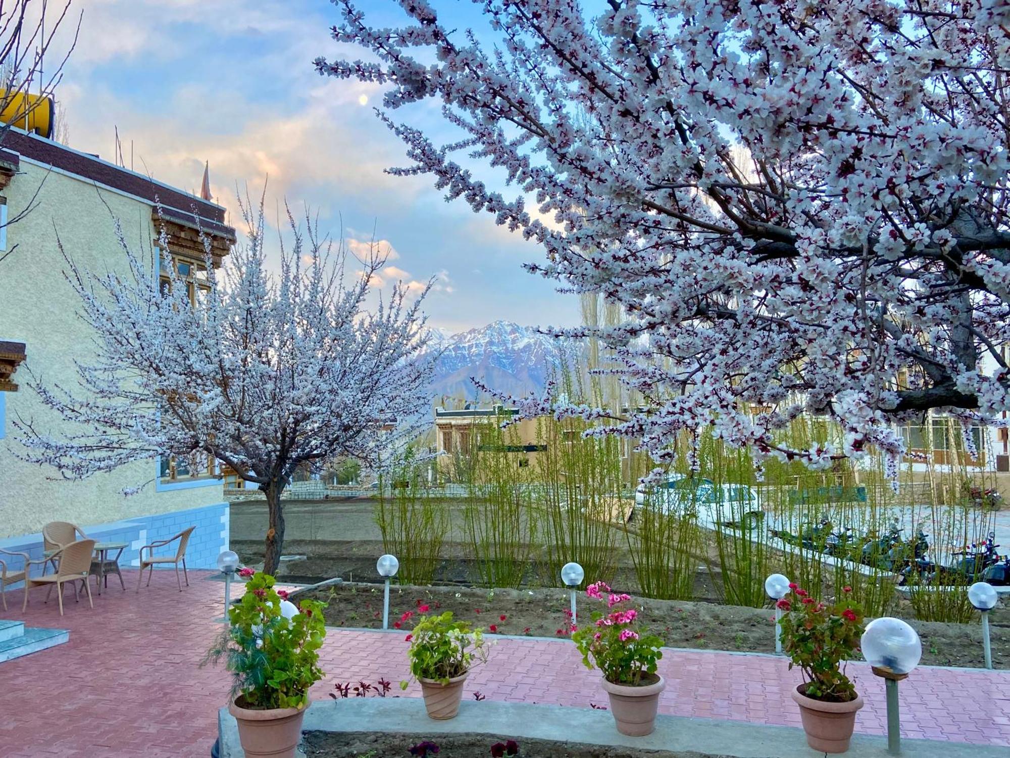Hotel Palam Hills Лех Екстериор снимка