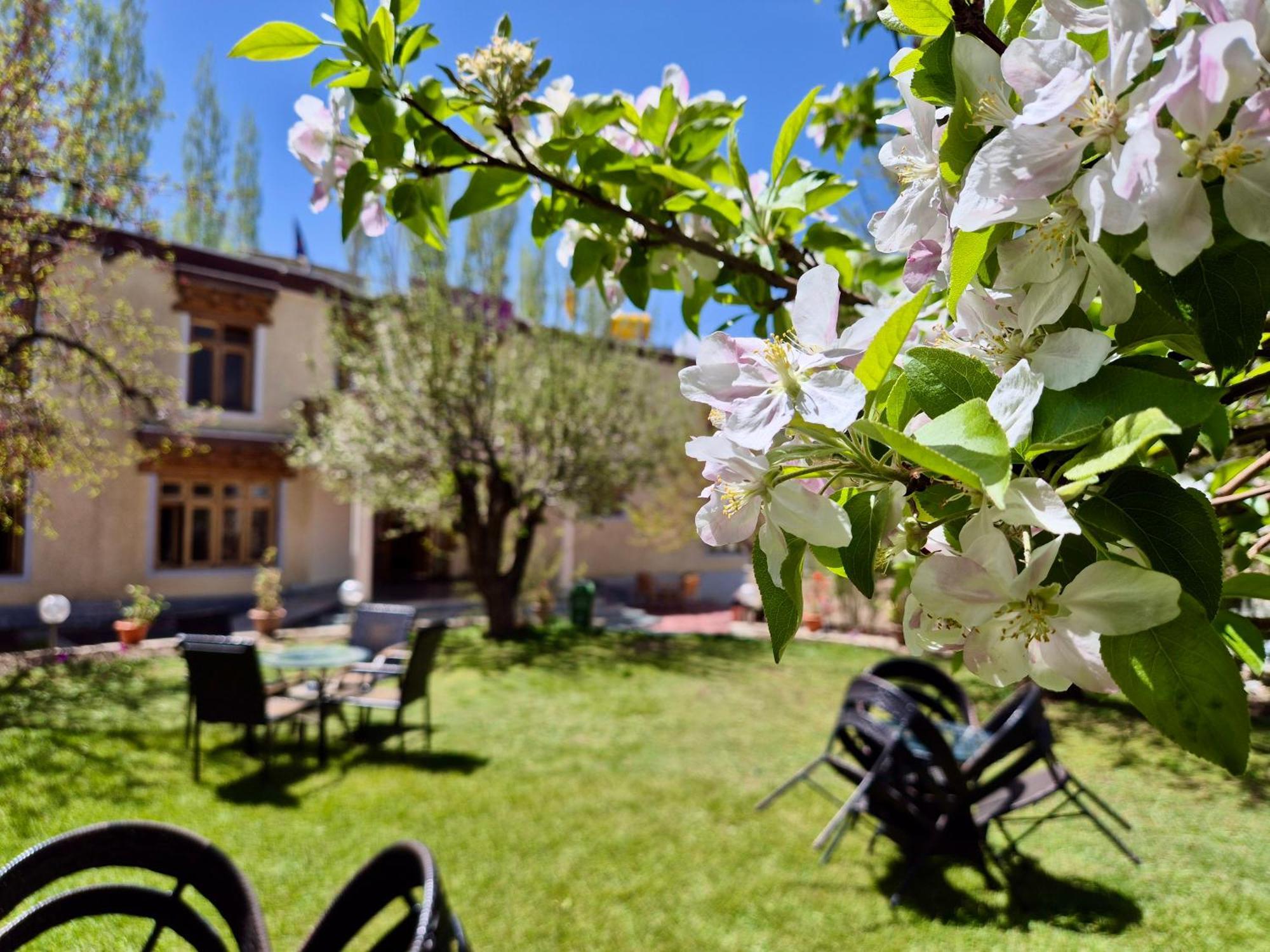 Hotel Palam Hills Лех Екстериор снимка